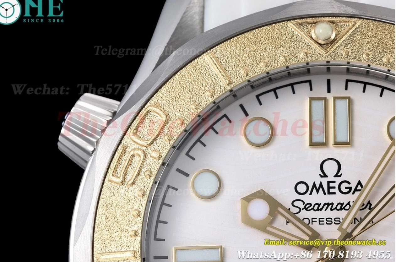 GDF SS 300m Dial White MY8215 Seamaster 42mm RU 0517